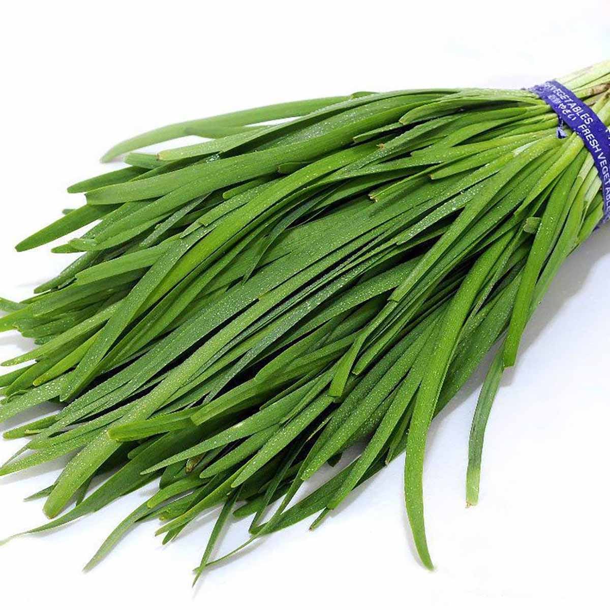 بذر تره بذر سبزی تره 10 گرمی - Image 1